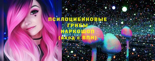 прущие крисы Алзамай