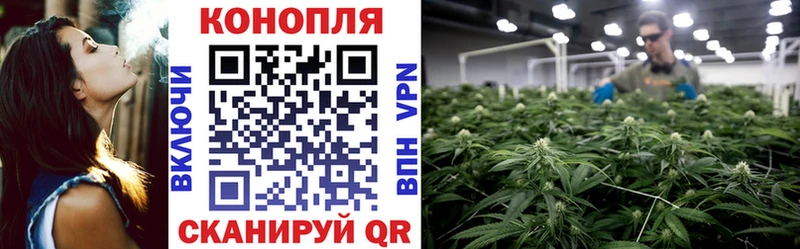 как найти закладки  Томилино  Марихуана конопля 